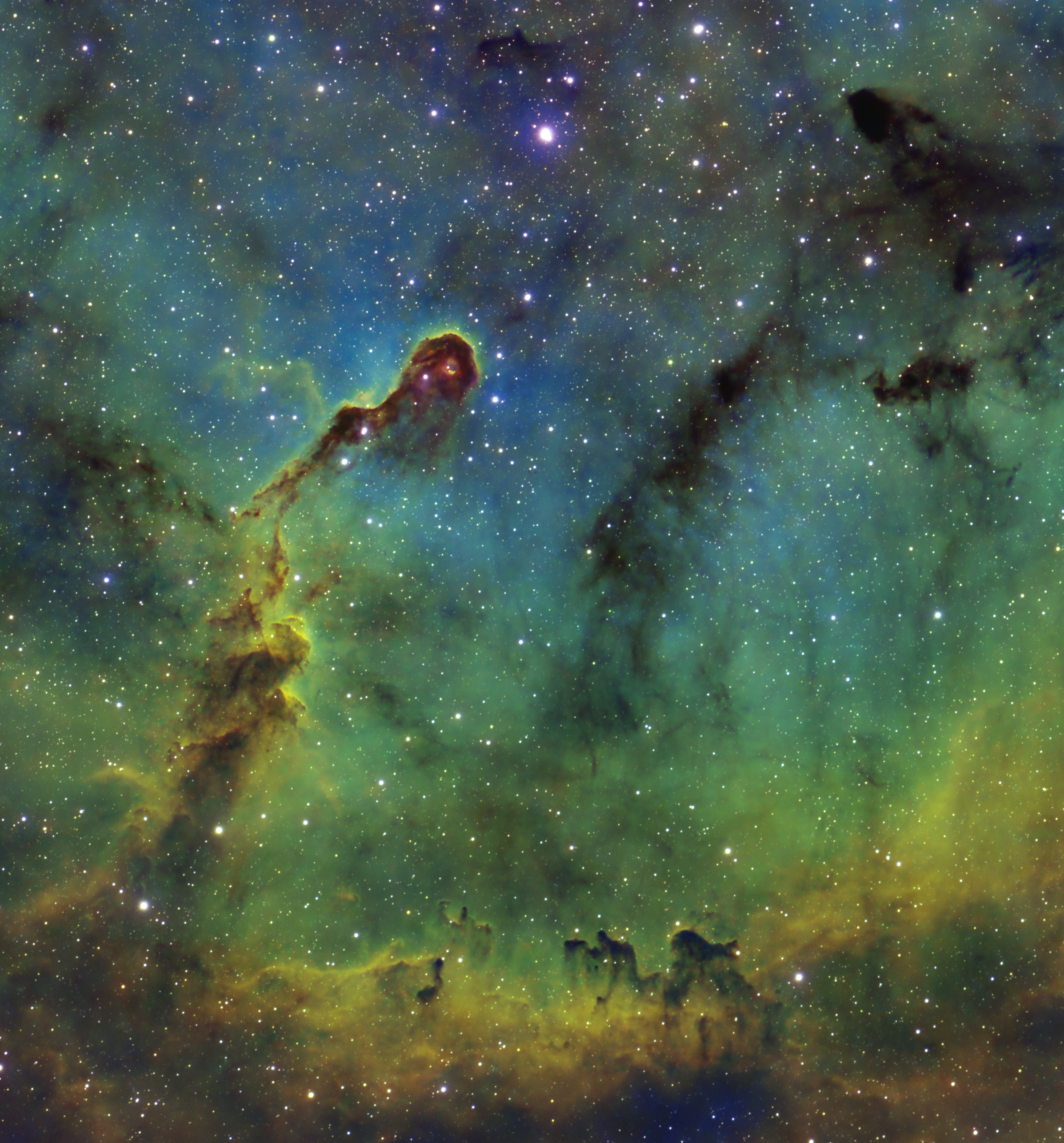 Elephant Trunk Nebula - SHO